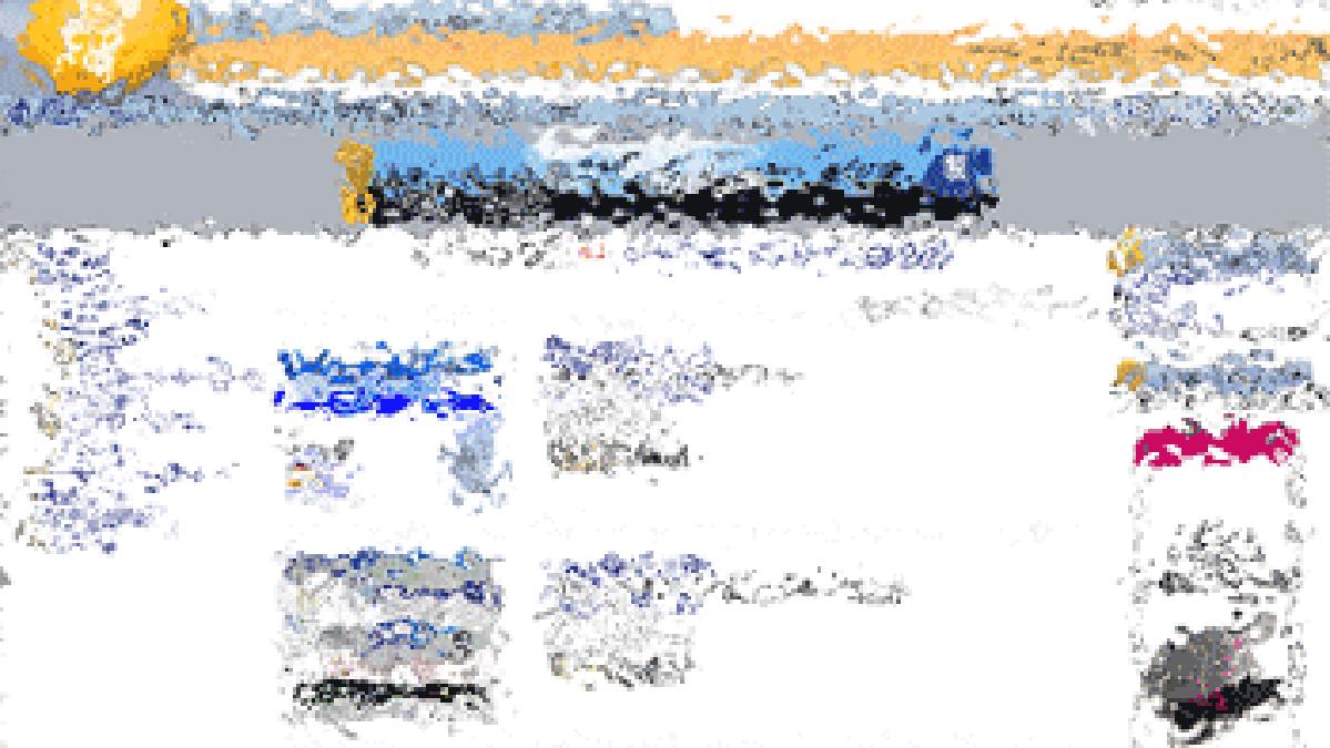ratiamystere.gif ratiamystere.gif
