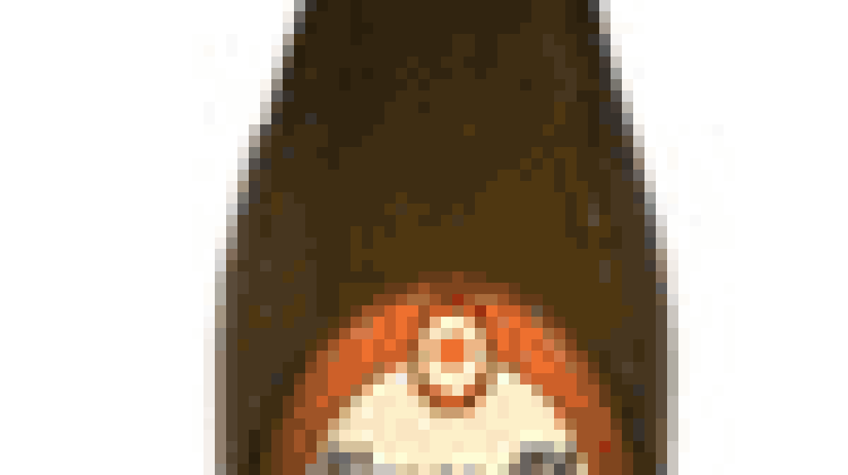 biereopensource.gif biereopensource.gif
