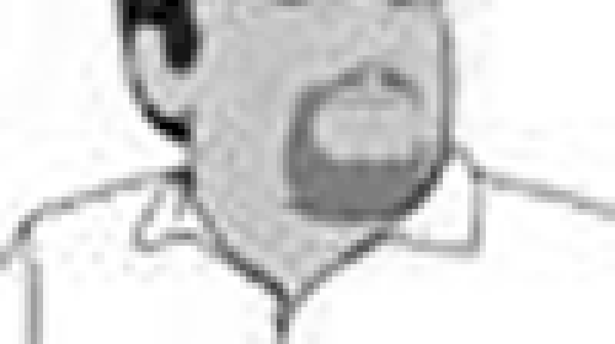 gerardcleh.gif gerardcleh.gif