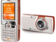 w800.jpg