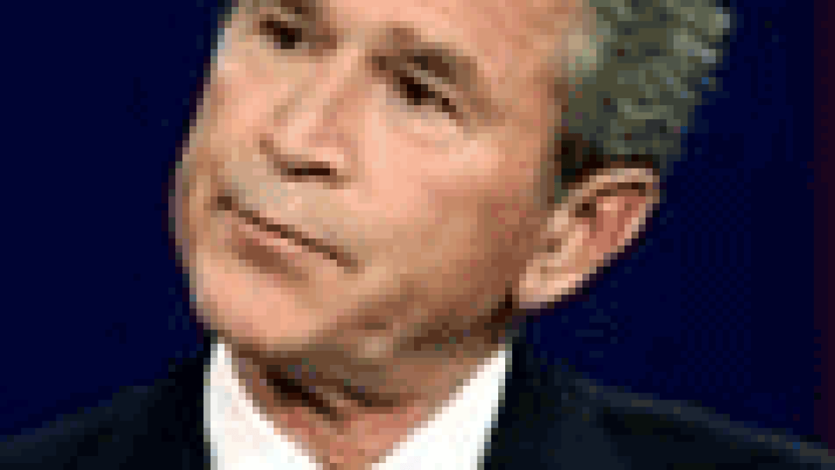 bush.png bush.png