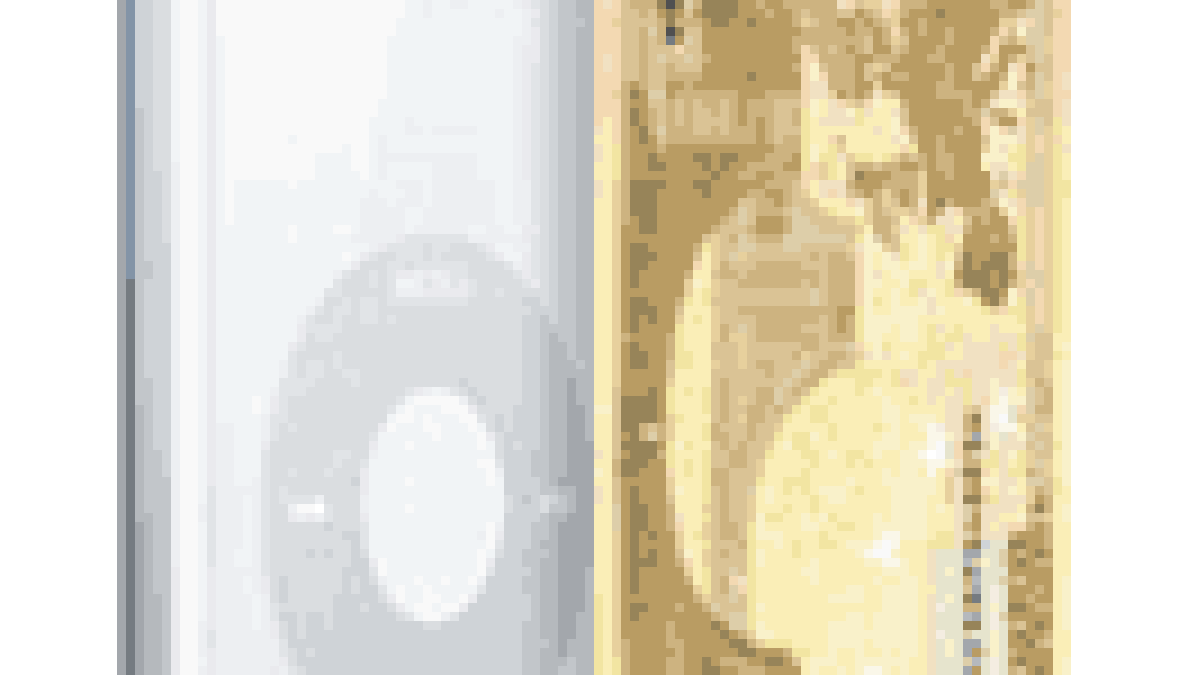 ipodtaxe.gif ipodtaxe.gif