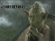 yoda.jpg