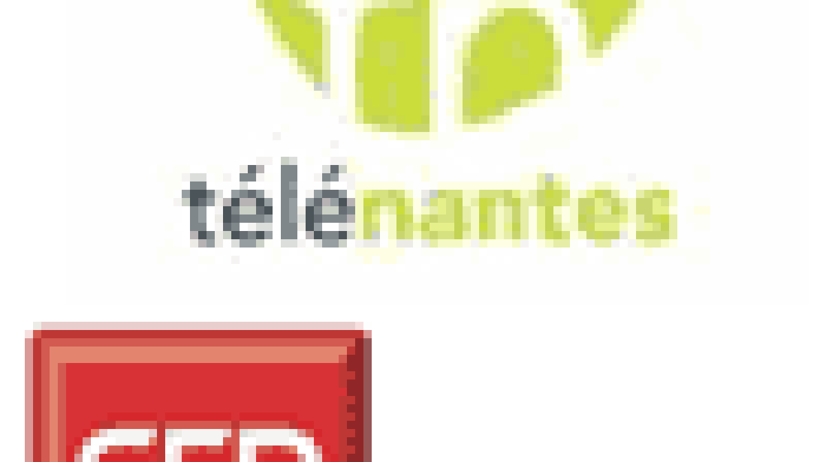 telenantes.gif telenantes.gif