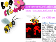 bnflowerratiatum.png