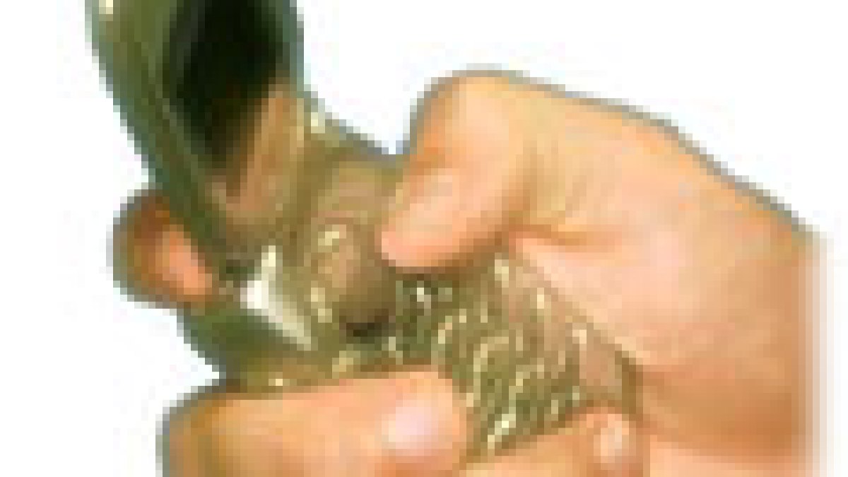 goldphone.jpg goldphone.jpg