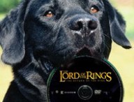 lordog.jpg