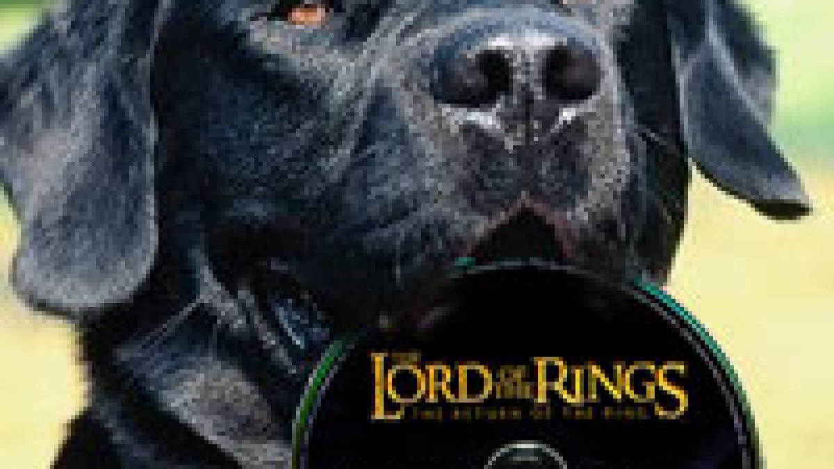 lordog.jpg lordog.jpg