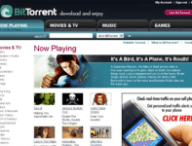 bittorrent-erreur0.png