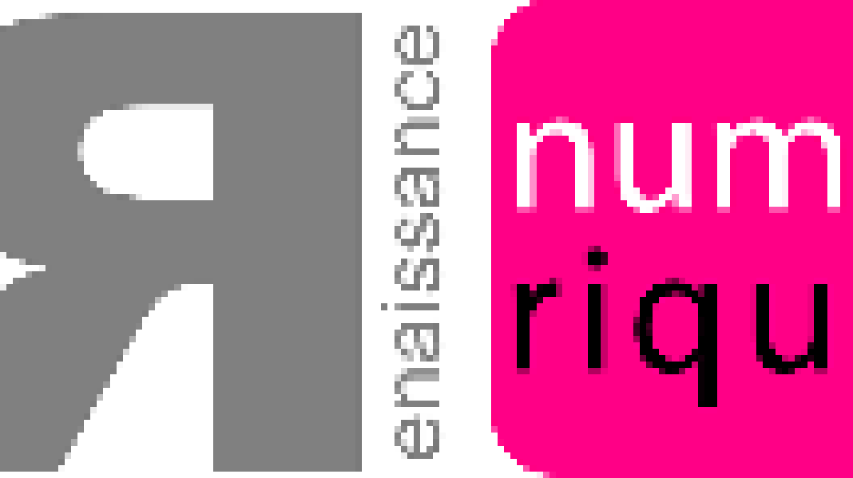 renaissance numerique.gif renaissance numerique.gif