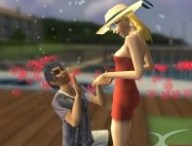 sims.jpg