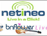 bnflowernetineo.gif