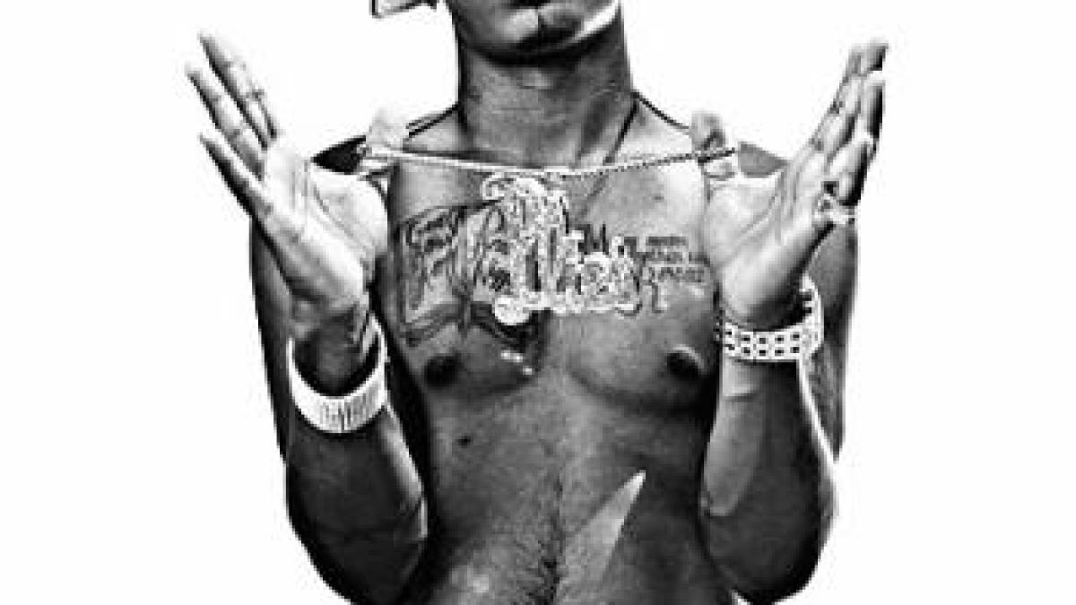 Plies.jpg Plies.jpg