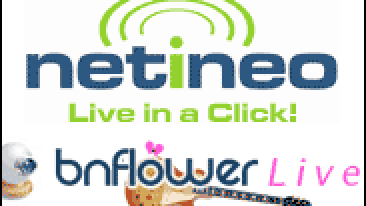 bnflowernetineo.gif bnflowernetineo.gif