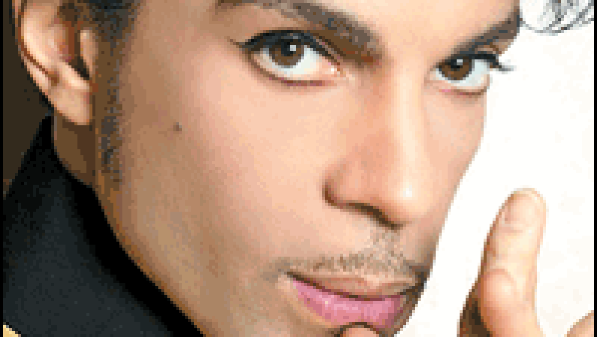 prince.gif prince.gif