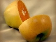 apple orange.jpg
