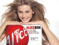 aliceoffre.jpg