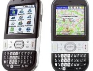 palm centro.jpg