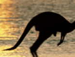 vign-australie.png