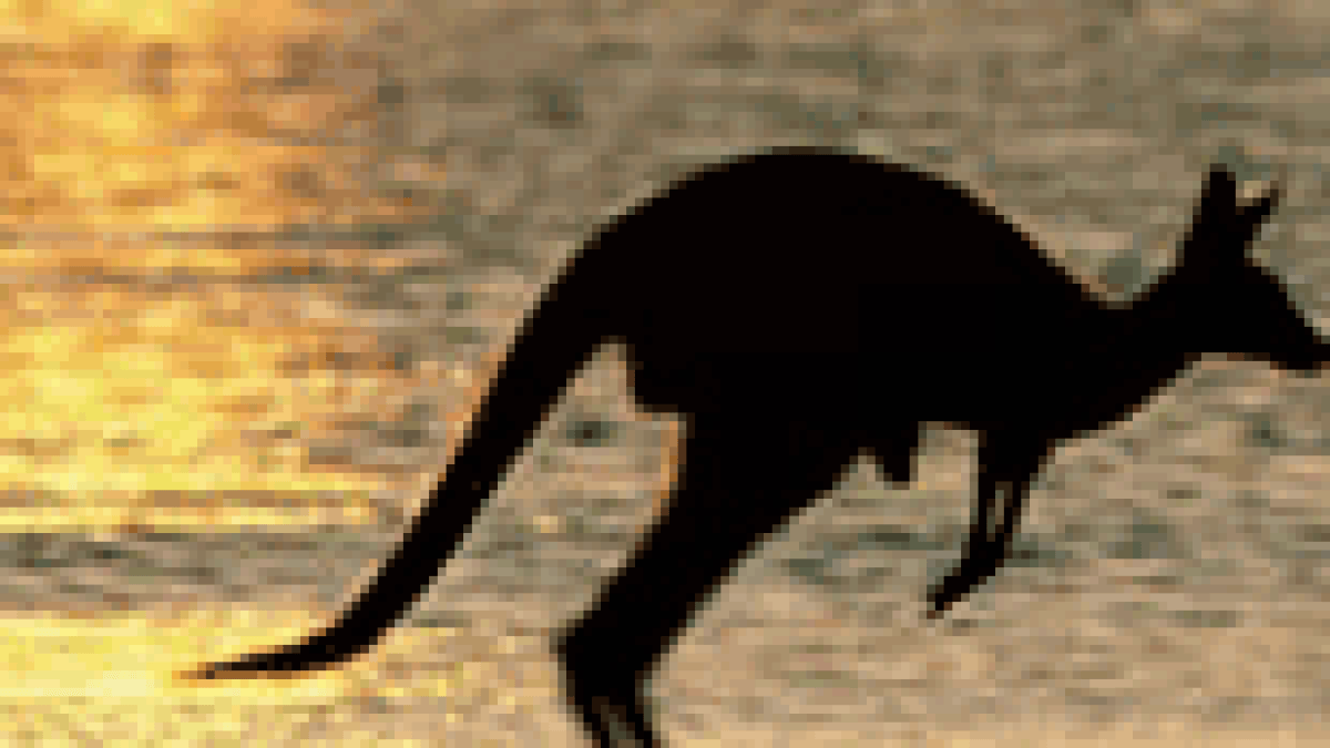 vign-australie.png vign-australie.png
