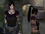 age of conan poitrine.jpg