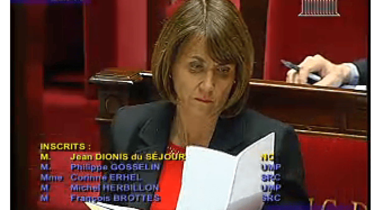 christinealbanel-hadopi2.png christinealbanel-hadopi2.png