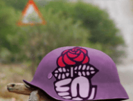 socialistes-carapace.png