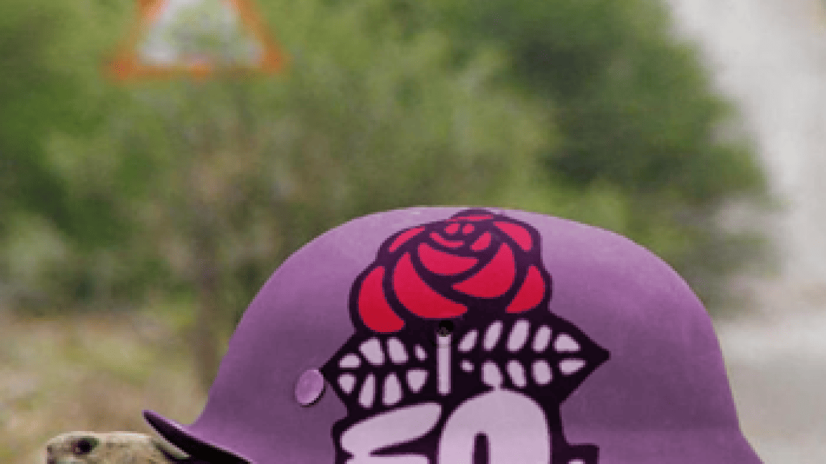 socialistes-carapace.png socialistes-carapace.png