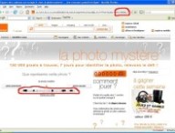 orangefr2.jpg
