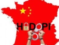 mini-73545-logo-hadopi-ministere-de-la-cultureu.jpg