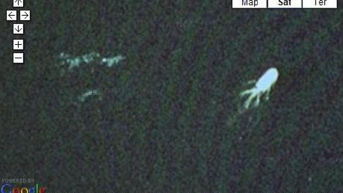 lochness.png lochness.png