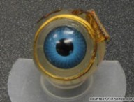 oeil bionique.jpg