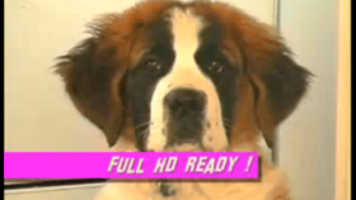 fullhdready.png fullhdready.png
