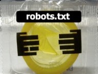 robotstxt.jpg