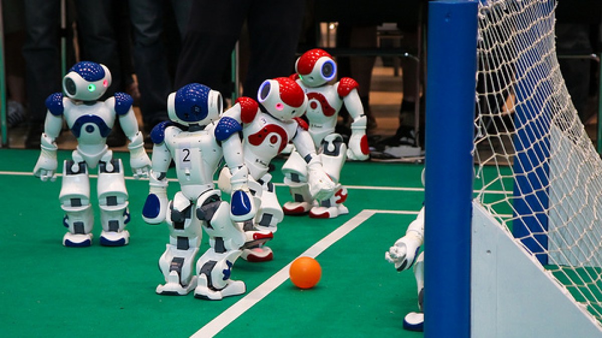 3690476819_25b0299418.jpg 3690476819_25b0299418.jpg