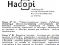 hadopi-etat-francais.jpg