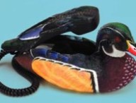 ducksunlimitedlarge.jpe