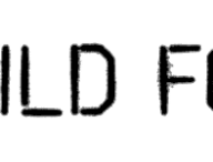 wild_fox_logo.png