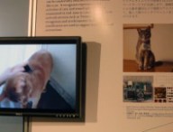 chat-sony.jpg