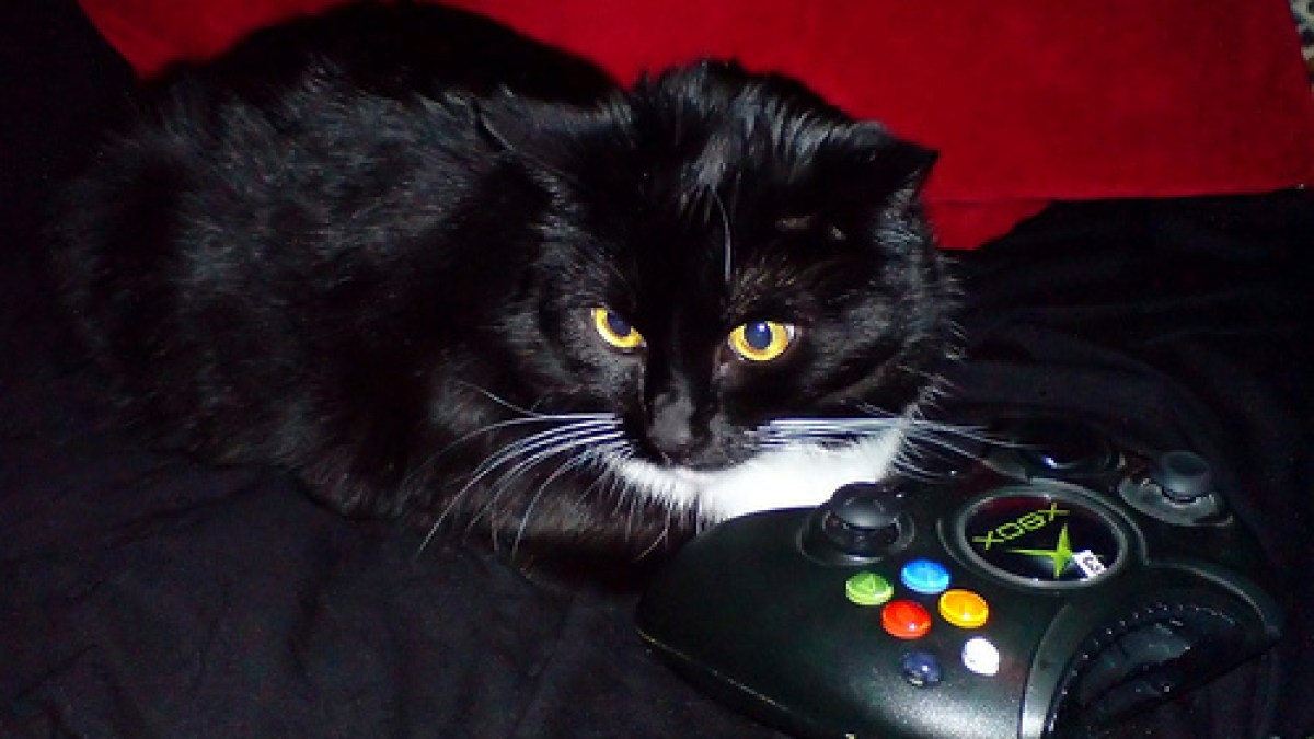 jeuxvideochat.jpg jeuxvideochat.jpg
