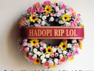 hadopiriplol.png