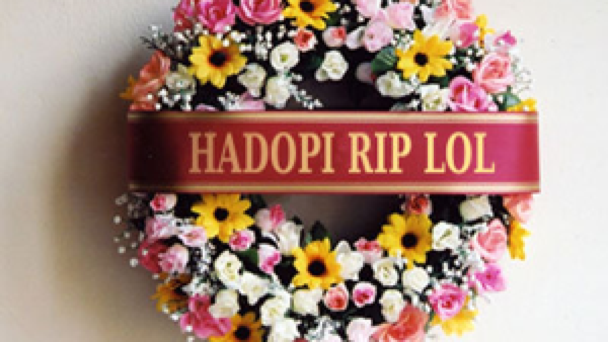 hadopiriplol.png hadopiriplol.png