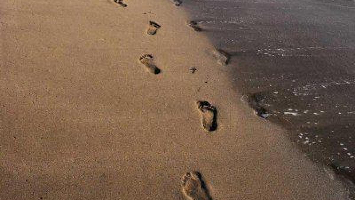 traces.jpg traces.jpg