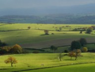 rural.jpg