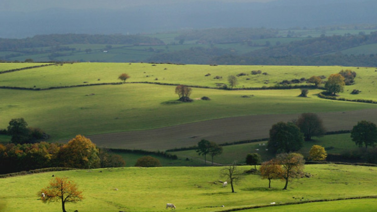 rural.jpg rural.jpg