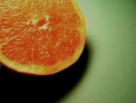 orangetranche.jpg