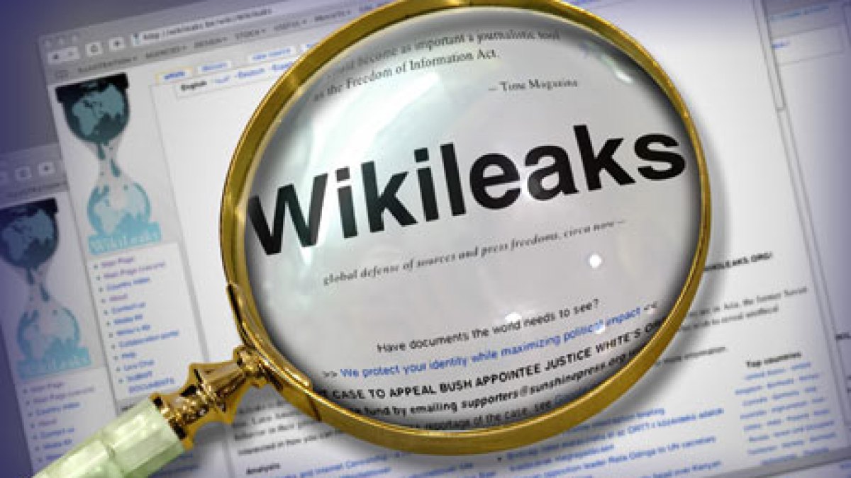 wikileaksloupe.jpg wikileaksloupe.jpg