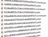 connected-peers.png