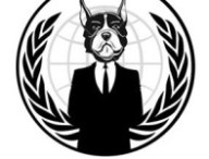 anondetourn.jpg