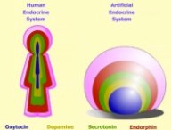 artificial_endocrine.jpg